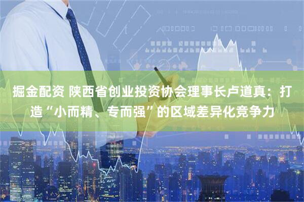 掘金配资 陕西省创业投资协会理事长卢道真：打造“小而精、专而强”的区域差异化竞争力