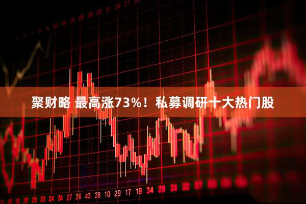 聚财略 最高涨73%！私募调研十大热门股