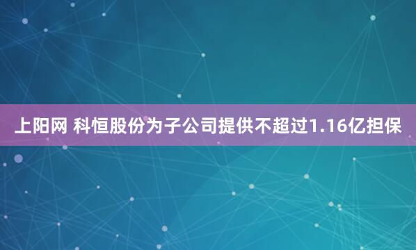上阳网 科恒股份为子公司提供不超过1.16亿担保