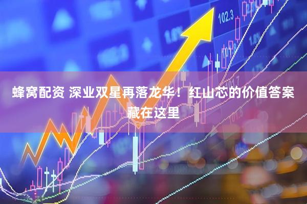 蜂窝配资 深业双星再落龙华！红山芯的价值答案藏在这里