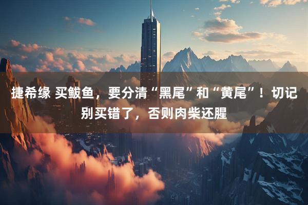 捷希缘 买鲅鱼，要分清“黑尾”和“黄尾”！切记别买错了，否则肉柴还腥