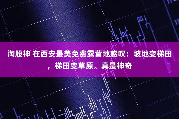 淘股神 在西安最美免费露营地感叹：坡地变梯田，梯田变草原。真是神奇