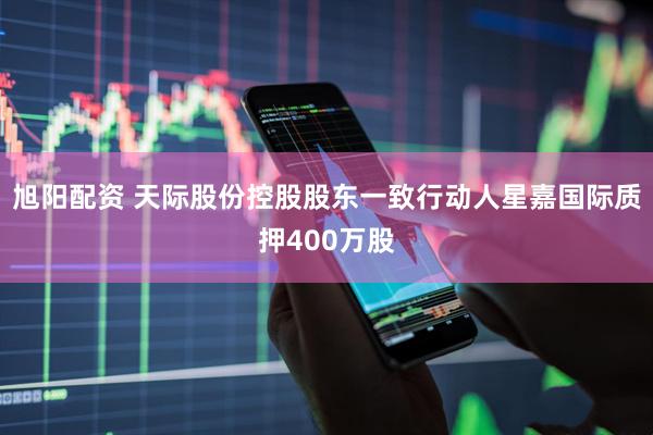 旭阳配资 天际股份控股股东一致行动人星嘉国际质押400万股
