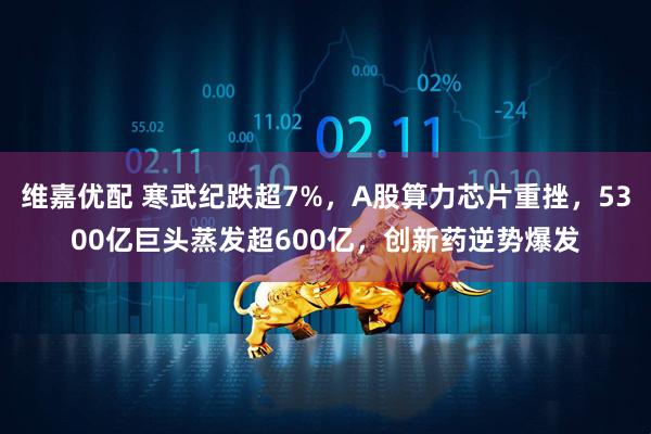 维嘉优配 寒武纪跌超7%，A股算力芯片重挫，5300亿巨头蒸发超600亿，创新药逆势爆发